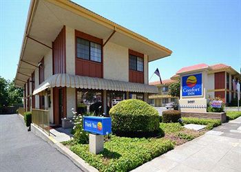 Comfort Inn Hayward