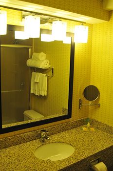 Holiday Inn Airport West Earth City